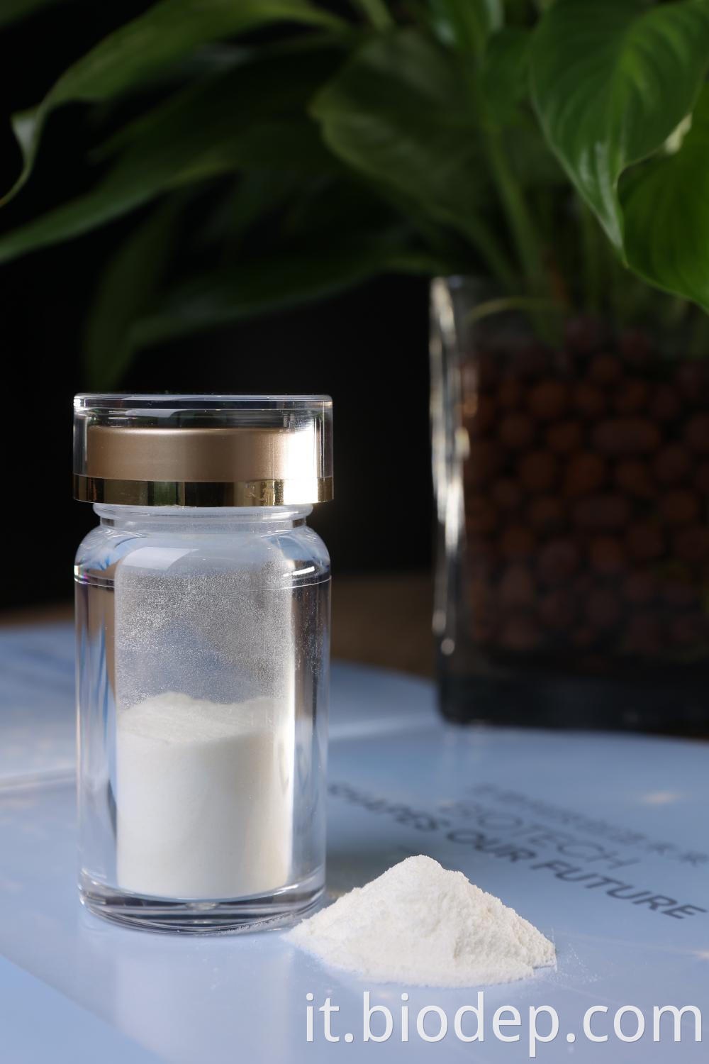 Probiotic Powder